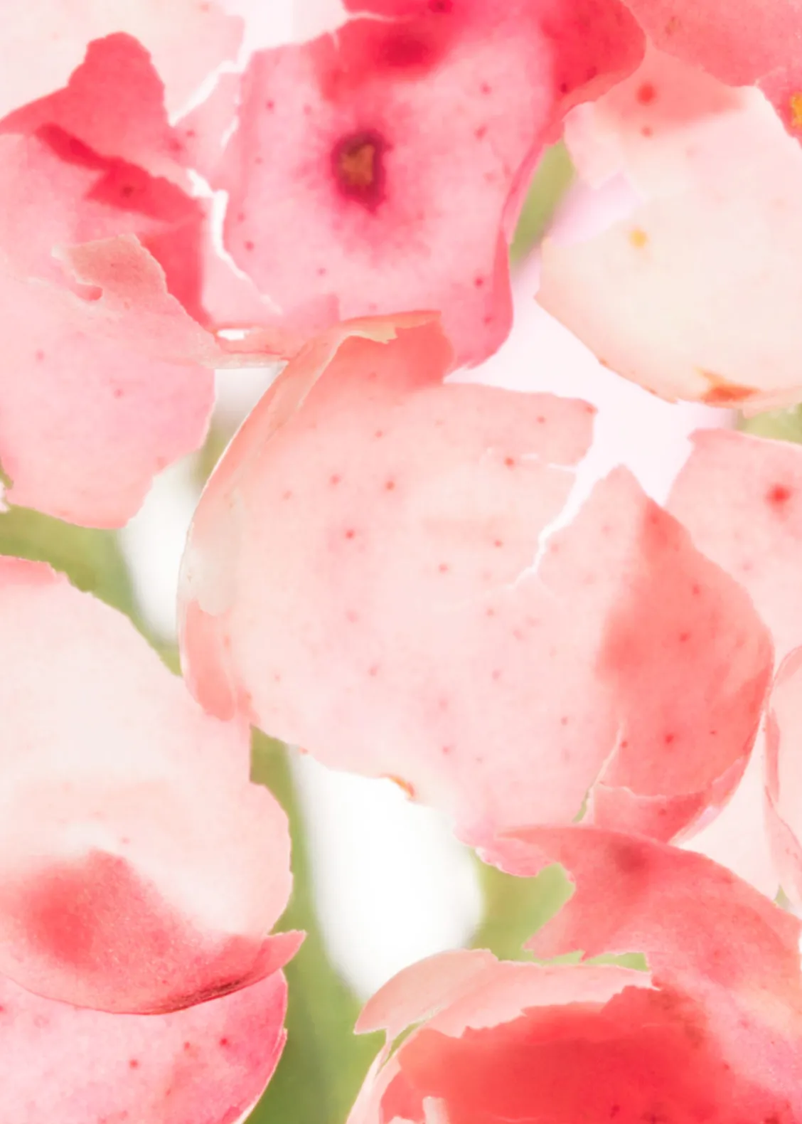 & Other Stories Bath & Body | Perle De Coco Body Scrub