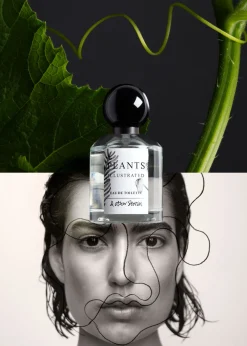 & Other Stories Fragrances | Poem A Day Eau De Toilette